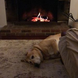 Meet your Posher, Kathleen